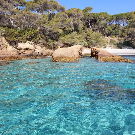 Apartment T2 - Gare Hyères